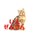 かしこまりました！ありがとうございます（個別スタンプ：1）