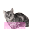 かしこまりました！ありがとうございます（個別スタンプ：5）