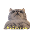 かしこまりました！ありがとうございます（個別スタンプ：6）