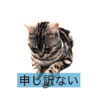 かしこまりました！ありがとうございます（個別スタンプ：7）