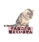 かしこまりました！ありがとうございます（個別スタンプ：8）