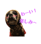 ぼちぼち、ボス太郎です。第2弾（個別スタンプ：5）