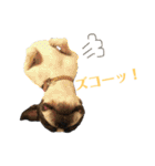ぼちぼち、ボス太郎です。第2弾（個別スタンプ：9）