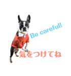 ぼちぼち、ボス太郎です。第2弾（個別スタンプ：13）
