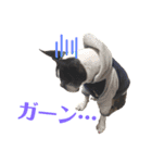 ぼちぼち、ボス太郎です。第2弾（個別スタンプ：17）