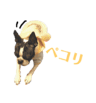 ぼちぼち、ボス太郎です。第2弾（個別スタンプ：27）