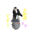 ぼちぼち、ボス太郎です。第2弾（個別スタンプ：31）