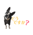 ぼちぼち、ボス太郎です。第2弾（個別スタンプ：32）