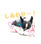 ぼちぼち、ボス太郎です。第2弾（個別スタンプ：35）