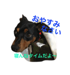 ガァクライヒ（個別スタンプ：2）