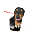 ガァクライヒ（個別スタンプ：6）