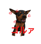 ガァクライヒ（個別スタンプ：7）