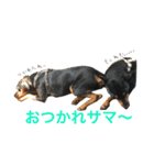 ガァクライヒ（個別スタンプ：9）