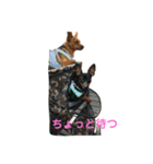 ガァクライヒ（個別スタンプ：15）