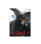 ガァクライヒ（個別スタンプ：18）