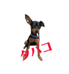 ガァクライヒ（個別スタンプ：20）