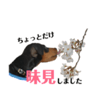 ガァクライヒ（個別スタンプ：21）