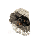 ガァクライヒ（個別スタンプ：24）