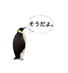肯定ペンギンくん改（個別スタンプ：1）