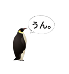 肯定ペンギンくん改（個別スタンプ：2）