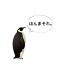 肯定ペンギンくん改（個別スタンプ：3）