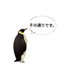 肯定ペンギンくん改（個別スタンプ：6）