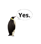 肯定ペンギンくん改（個別スタンプ：8）