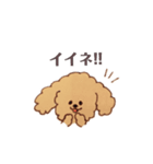 毎日使えるトイプー♡（個別スタンプ：1）