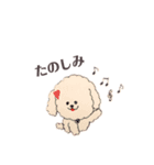 毎日使えるトイプー♡（個別スタンプ：6）