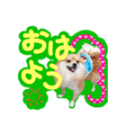 ポメラニアン♡こころ♡（個別スタンプ：2）