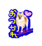ポメラニアン♡こころ♡（個別スタンプ：5）