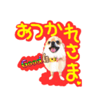 ポメラニアン♡こころ♡（個別スタンプ：6）