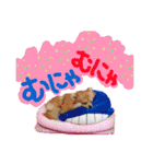 ポメラニアン♡こころ♡（個別スタンプ：22）