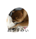 みーんな仲良し（個別スタンプ：3）