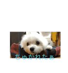 みーんな仲良し（個別スタンプ：4）