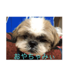 みーんな仲良し（個別スタンプ：5）
