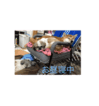 みーんな仲良し（個別スタンプ：8）