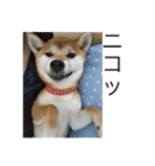 みーんな仲良し（個別スタンプ：10）