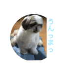 みーんな仲良し（個別スタンプ：12）