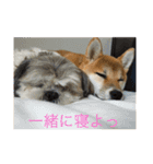 みーんな仲良し（個別スタンプ：15）