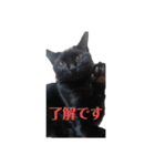 黒猫クロナ（個別スタンプ：4）
