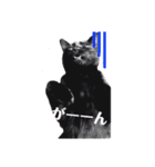 黒猫クロナ（個別スタンプ：7）