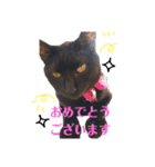 黒猫クロナ（個別スタンプ：14）