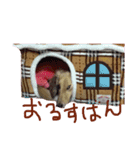 Quuuuuu lovely dog（個別スタンプ：2）