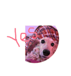 Quuuuuu lovely dog（個別スタンプ：6）