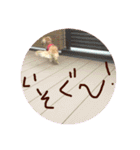 Quuuuuu lovely dog（個別スタンプ：13）