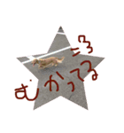 Quuuuuu lovely dog（個別スタンプ：14）