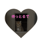 ひよしのどうぶつ（個別スタンプ：33）