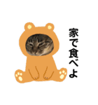 ひよしのどうぶつ（個別スタンプ：40）