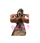会話フェレット@shan（個別スタンプ：13）